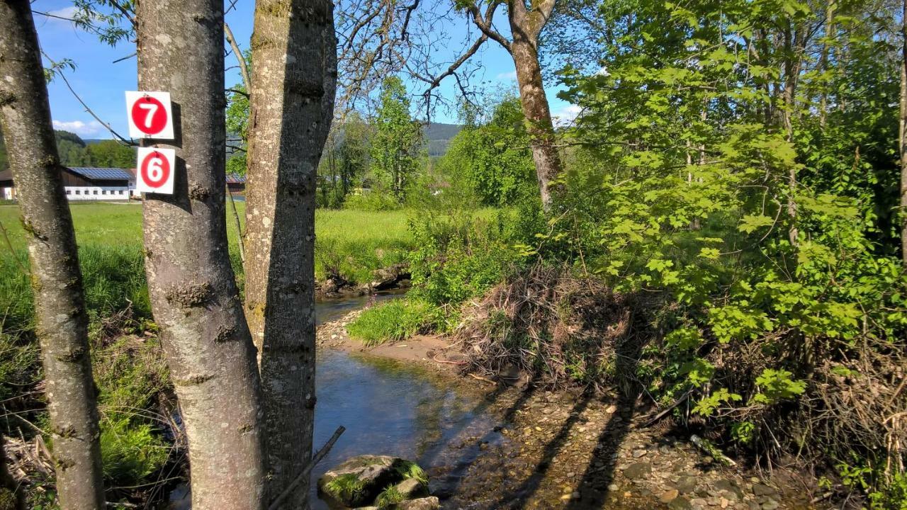 Ferien Vom Ich, Bayerischer Wald, Hotel & Restaurant Neukirchen  Exterior foto