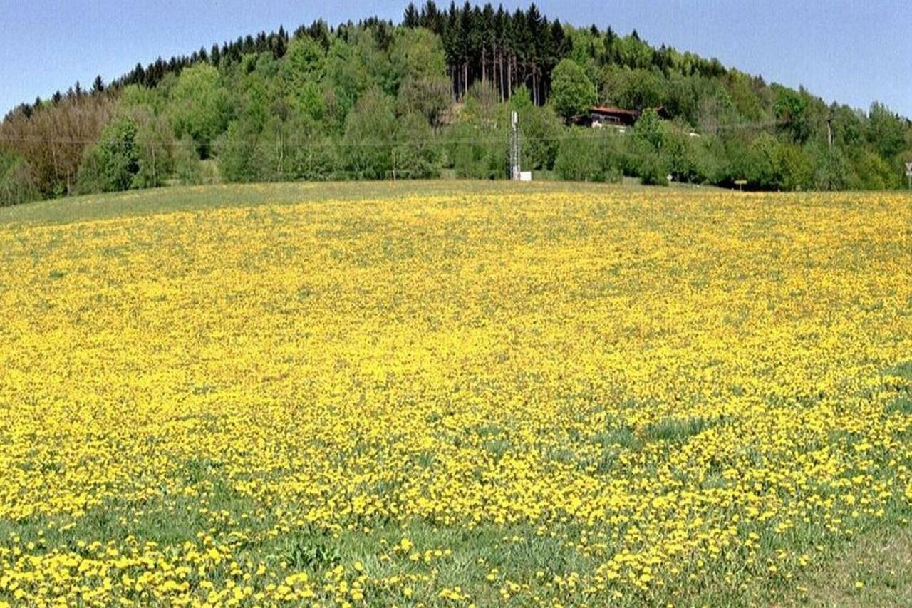 Ferien Vom Ich, Bayerischer Wald, Hotel & Restaurant Neukirchen  Exterior foto