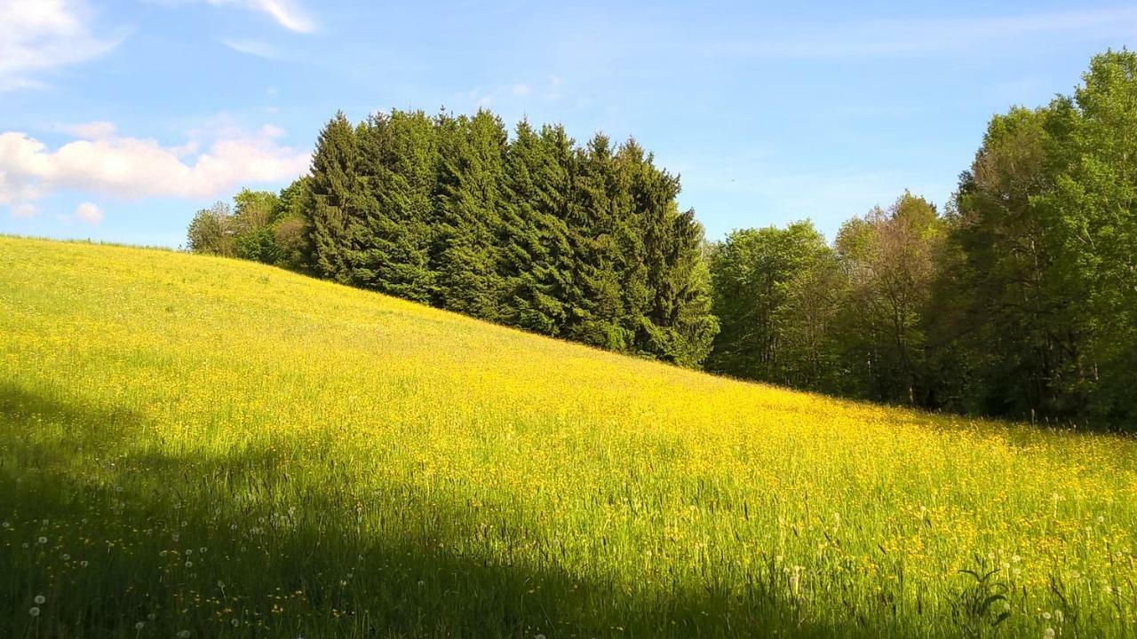 Ferien Vom Ich, Bayerischer Wald, Hotel & Restaurant Neukirchen  Exterior foto