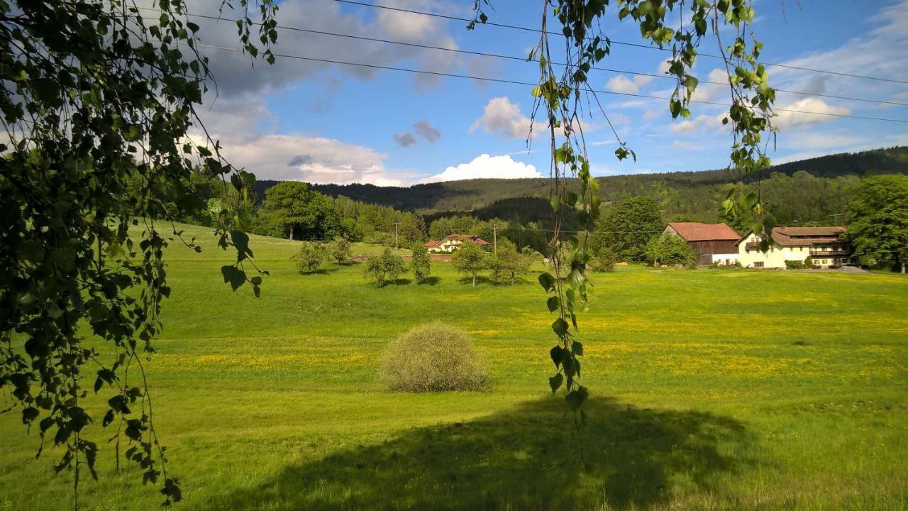 Ferien Vom Ich, Bayerischer Wald, Hotel & Restaurant Neukirchen  Exterior foto